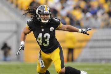 Troy Polamalu